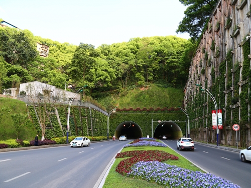 遵義忠山隧道綠化工程